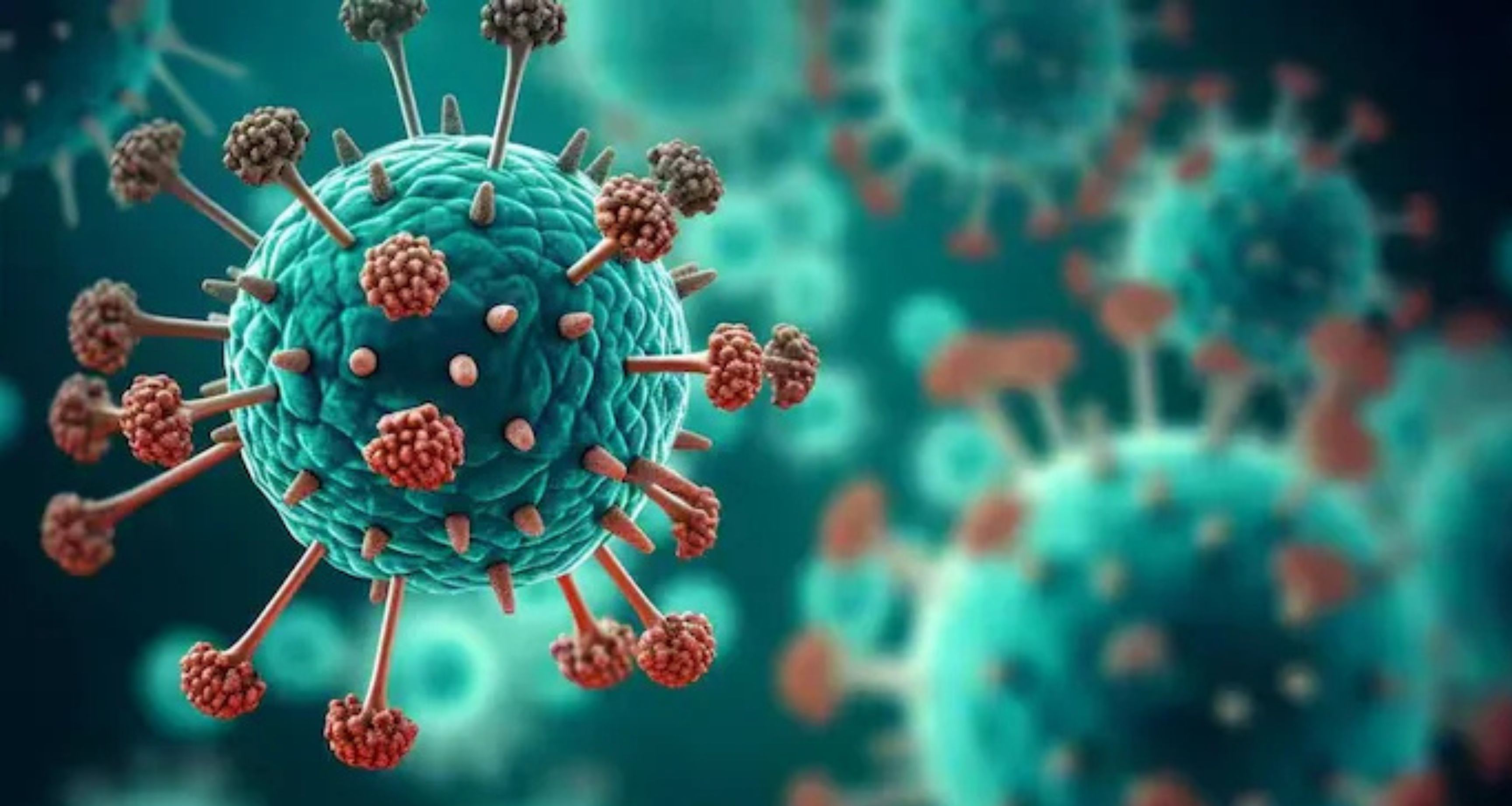 India Closely Monitoring Human Metapneumovirus (HMPV) Outbreak in China, No Cases Reported Yet, Health Ministry Confirms